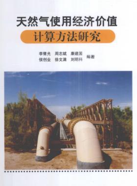 天然氣使用經(jīng)濟價值計算方法研究