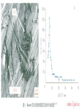 頁巖納米孔隙氣體流動(dòng)的滑脫效應(yīng)