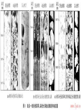 塔里木盆地輪古東地區(qū)奧陶系古溶洞的成像測井預測