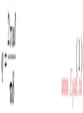 真空管太陽能集熱系統溫度場、速度場模擬