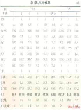 基于示蹤劑的煤層氣井分層產(chǎn)能測(cè)試技術(shù)