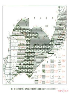 揚(yáng)子地塊上二疊統(tǒng)龍?zhí)督M頁巖氣勘探前景